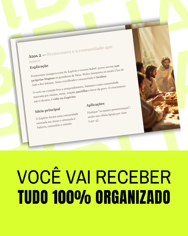 100% Organizado